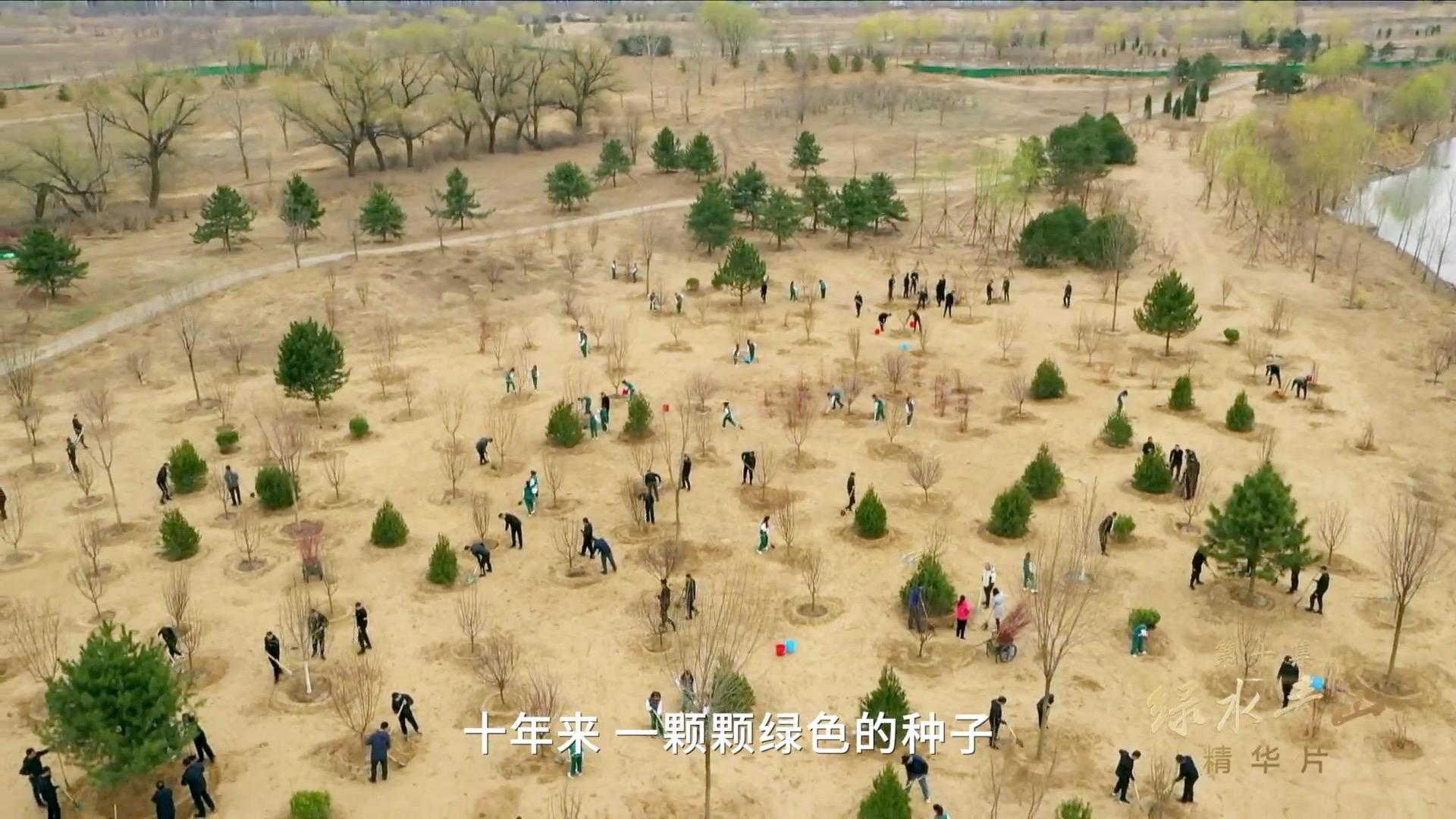 图片 4.png