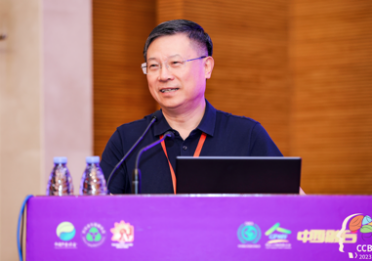 图片 6.png